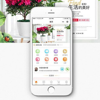 拉孜门店微商城小程序开发