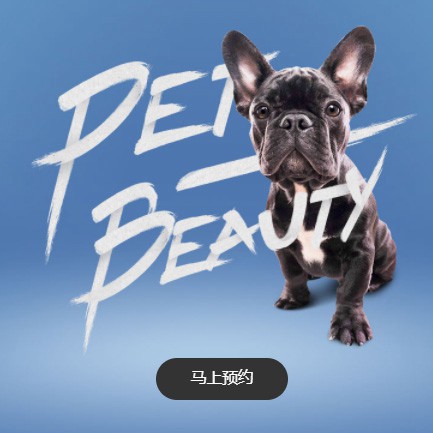 拉孜宠物中心小程序开发